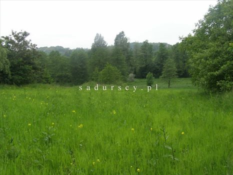 Działka rolna na sprzedaż Kraków, Podgórze, Romana Żelazowskiego 2 410m2 Foto 11