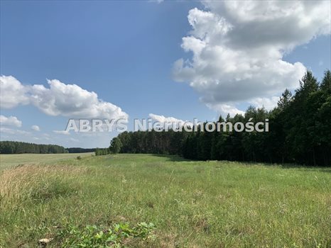 Działka budowlana na sprzedaż Lipowo Kurkowskie 3 101m2 Foto 3