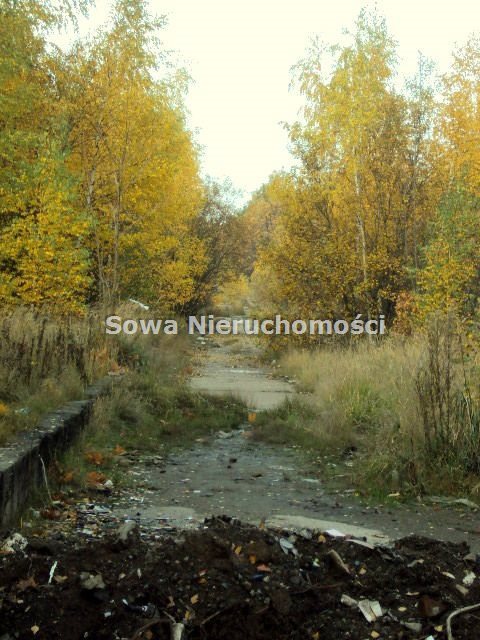 Działka budowlana na sprzedaż Wałbrzych, Piaskowa Góra 35 000m2 Foto 3