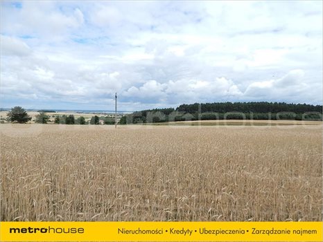 Działka inna na sprzedaż Janów, Chełm 33 379m2 Foto 6