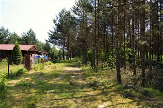 Działka rekreacyjna na sprzedaż Żarki-Letnisko 1 000m2 Foto 10