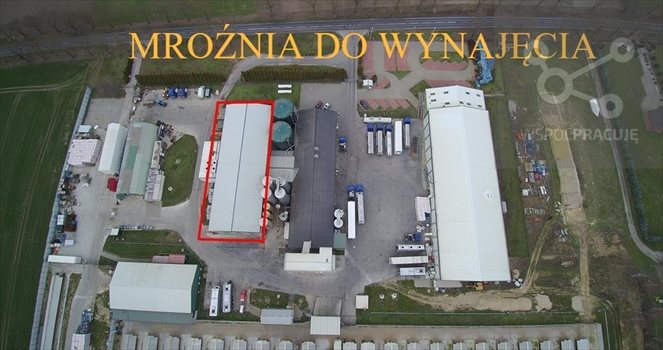 Lokal użytkowy na wynajem Gorzów Wielkopolski, okolice 1 940m2 Foto 2