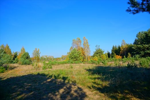 Działka budowlana na sprzedaż Jastrzębnik 1 500m2 Foto 10