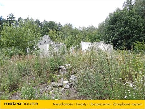 Działka inna na sprzedaż Janów, Chełm 41 200m2 Foto 6