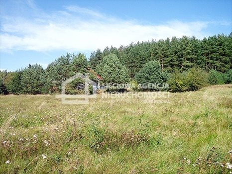 Działka budowlana na sprzedaż Dobrzewino 1 036m2 Foto 4
