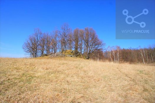 Kawalerka na sprzedaż Jelenia Góra, Cieplice Śląskie-Zdrój, Panorama na Karkonosze 38m2 Foto 8