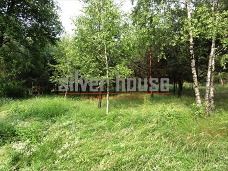 Działka budowlana na sprzedaż Puste Łąki 920m2 Foto 2