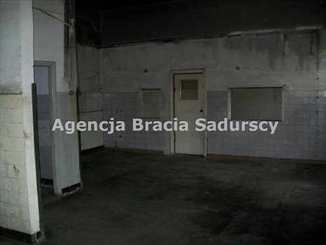 Lokal użytkowy na wynajem Nowy Targ 2 300m2 Foto 4