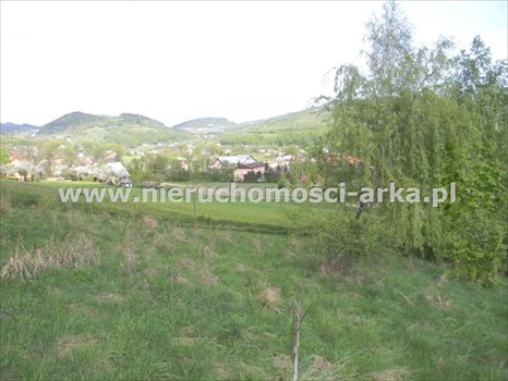 Działka budowlana na sprzedaż Limanowa 5 500m2 Foto 6