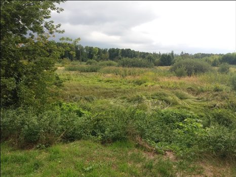 Dom na sprzedaż Konstancin-jeziorna, Jeziorna Królewska, Wierzbowa 150m2 Foto 8