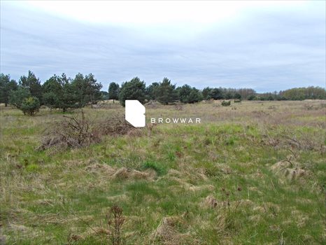 Działka budowlana na sprzedaż Silna 2 969m2 Foto 5