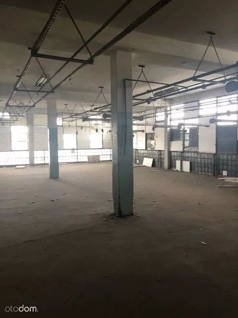Lokal użytkowy na sprzedaż Kietrz, Okrzei 21 2 500m2 Foto 5