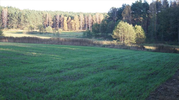 Działka budowlana na sprzedaż Bory Tucholskie, Nad Rzeką, Duże Krówno 47 4 973m2 Foto 5