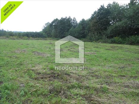 Działka budowlana na sprzedaż Trąbki 1 100m2 Foto 3