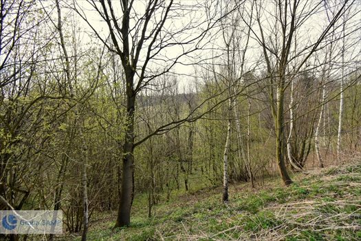 Działka inna na sprzedaż Barwałd Górny 8 066m2 Foto 6
