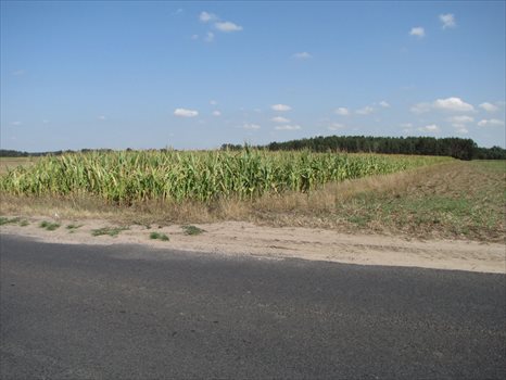 Działka budowlana na sprzedaż Marydół, Trasa Marydół - Siedlików 8 183m2 Foto 1