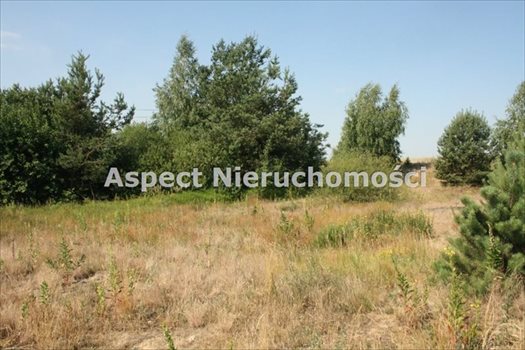 Działka budowlana na sprzedaż Władysławów 1 900m2 Foto 2