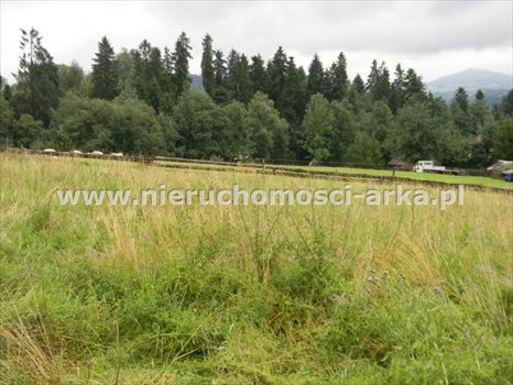 Działka budowlana na sprzedaż Rabka-Zdrój 1 600m2 Foto 2