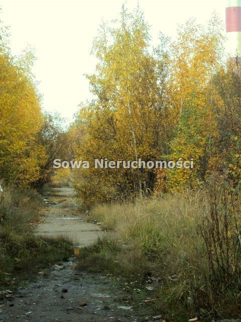 Działka budowlana na sprzedaż Wałbrzych, Piaskowa Góra 35 000m2 Foto 4