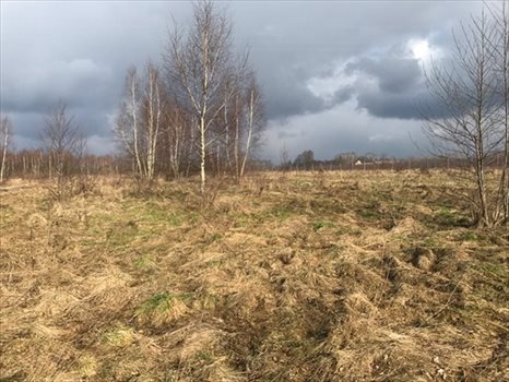 Działka inwestycyjna na sprzedaż Tarczyn 21 000m2 Foto 2
