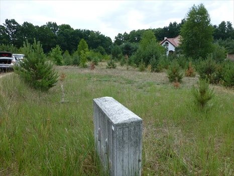 Działka inna na sprzedaż Kwakowo, Krótka 1 366m2 Foto 2