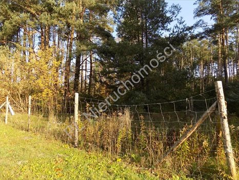 Działka rolna na sprzedaż Otwock, Wólka Mlądzka 1 350m2 Foto 4