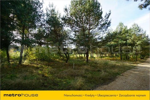 Działka rolna na sprzedaż Bechcice, Lutomiersk 1 000m2 Foto 3