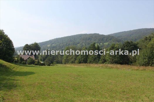 Działka budowlana na sprzedaż Gruszowiec 3 400m2 Foto 11