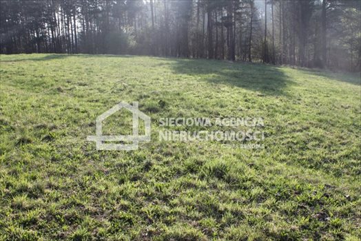 Działka budowlana na sprzedaż Lubowidz 1 760m2 Foto 11