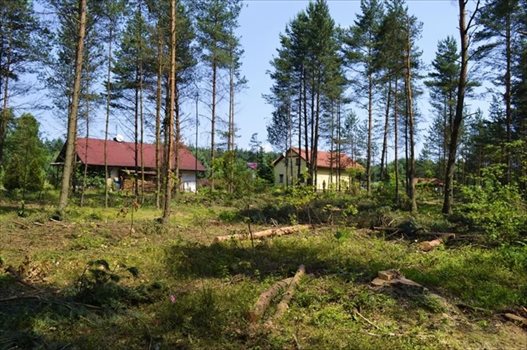 Działka rekreacyjna na sprzedaż Żarki-Letnisko 1 000m2 Foto 1