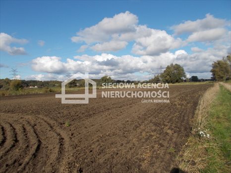 Działka rolna na sprzedaż Gdańsk, Lipce 44 000m2 Foto 4