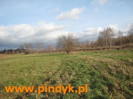 Działka budowlana na sprzedaż polska, Staniszów 1 724m2 Foto 4