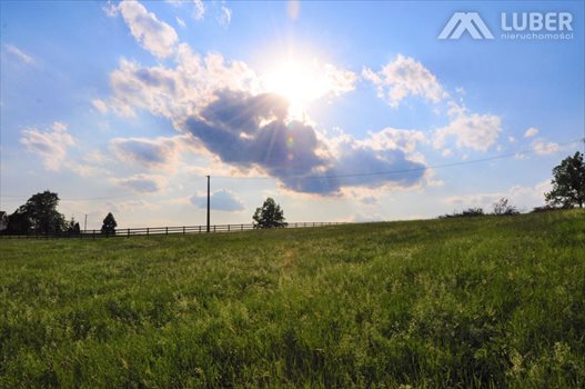 Działka budowlana na sprzedaż Bielowicko 3 223m2 Foto 12