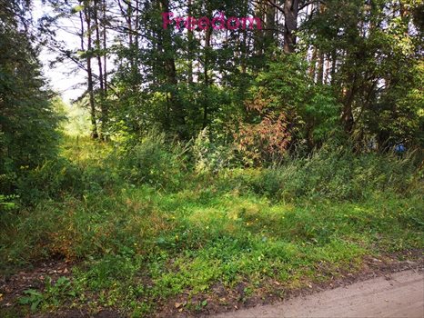 Działka budowlana na sprzedaż Orzechowo 24 300m2 Foto 5