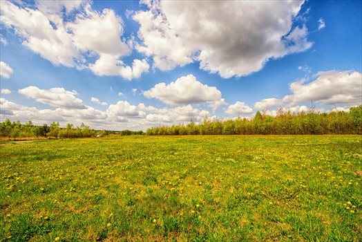Działka budowlana na sprzedaż Opoczno, Działka pod zabudowę jednorodzinną blisko lasu 703m2 Foto 6