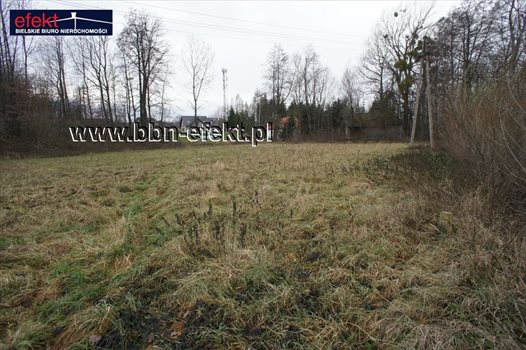 Działka budowlana na sprzedaż Grodziec 2 400m2 Foto 2