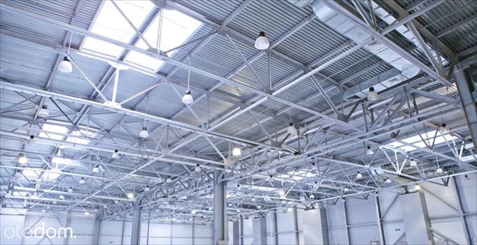 Lokal użytkowy na wynajem Zgorzelec 30 250m2 Foto 2