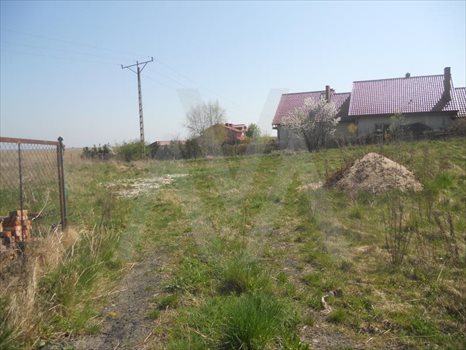 Działka inna na sprzedaż Rewa, Polna 700m2 Foto 5