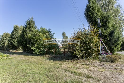 Działka budowlana na sprzedaż Płatków 3 900m2 Foto 8