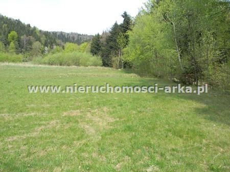 Działka budowlana na sprzedaż Pisarzowa 2 100m2 Foto 2