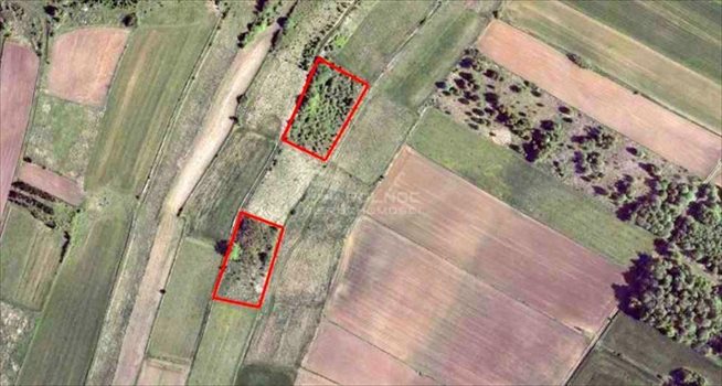 Działka rolna na sprzedaż Strzegowa 6 649m2 Foto 2