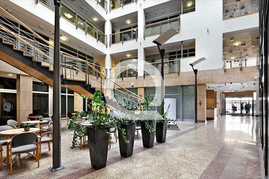Lokal użytkowy na wynajem Gdynia, Śródmieście 245m2 Foto 12