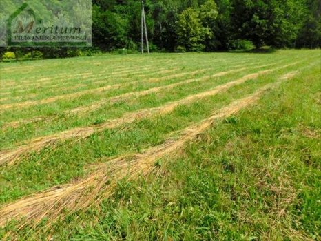 Działka budowlana na sprzedaż Nowy Sącz 1 279m2 Foto 5