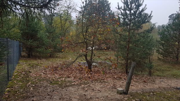 Działka budowlana na sprzedaż Warszawa, Wawer, Barwinkowa 1 844m2 Foto 2