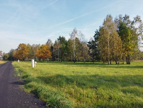 Działka budowlana na sprzedaż Budy-Grzybek 942m2 Foto 6