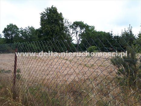 Działka budowlana na sprzedaż Izbica 1 248m2 Foto 2