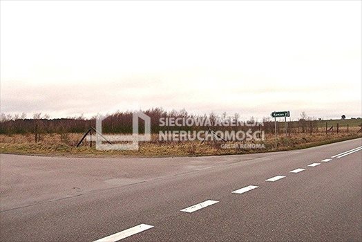 Działka leśna na sprzedaż Strzeczona 206 330m2 Foto 2
