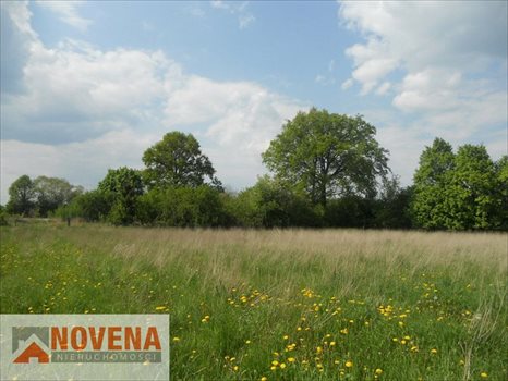 Działka budowlana na sprzedaż Żerków, 3km od Brzegu Dolnego. Pięnna działka budowlana. 1 800m2 Foto 2