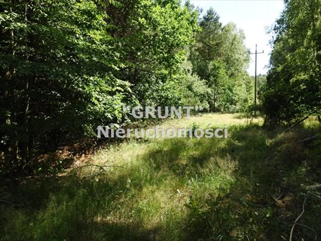 Działka rekreacyjna na sprzedaż Tuczno 1 760m2 Foto 2