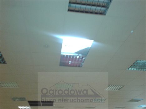 Lokal użytkowy na wynajem Warszawa, Wesoła 2 020m2 Foto 3